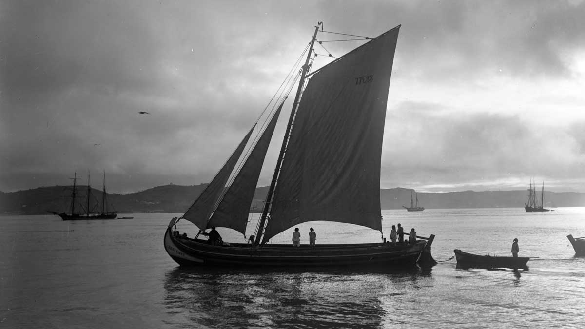 barco tradicional do Tejo